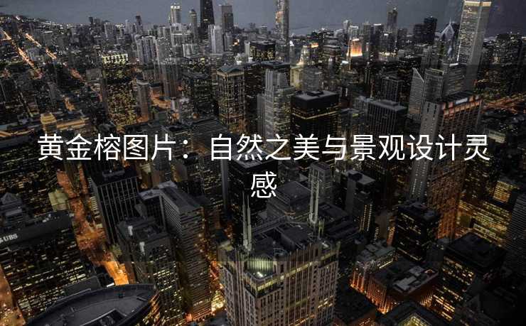 黄金榕图片：自然之美与景观设计灵感