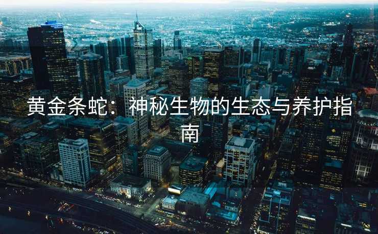 黄金条蛇：神秘生物的生态与养护指南