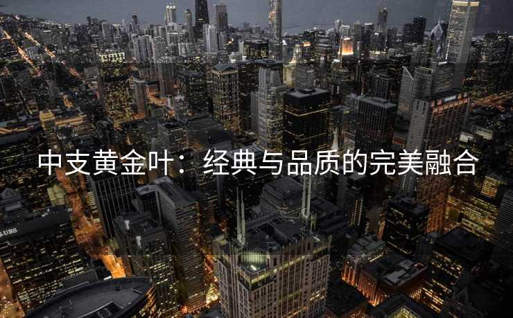 中支黄金叶：经典与品质的完美融合