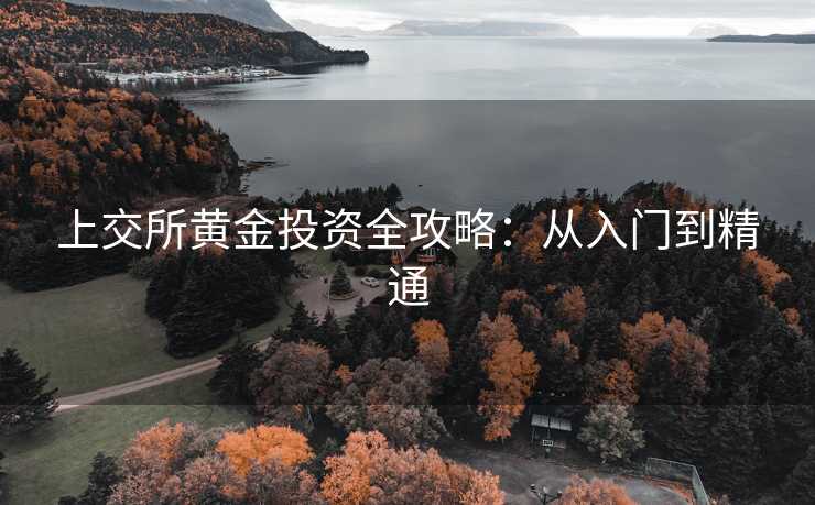 上交所黄金投资全攻略：从入门到精通