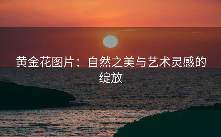 黄金花图片：自然之美与艺术灵感的绽放