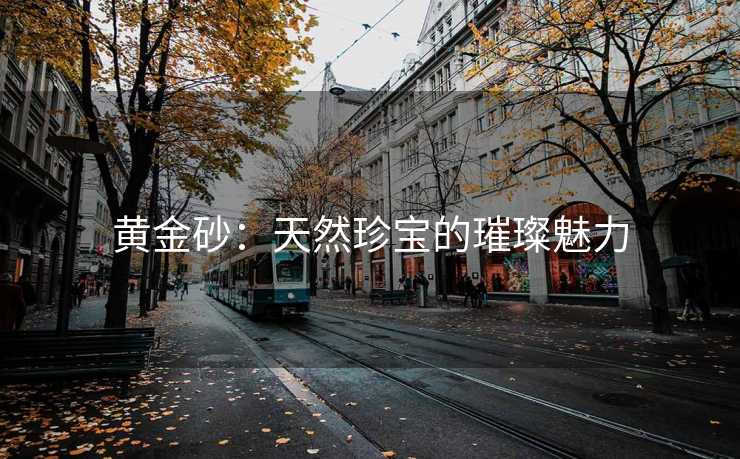 黄金砂：天然珍宝的璀璨魅力