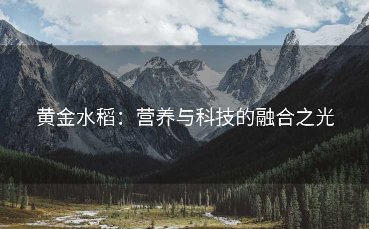 黄金水稻：营养与科技的融合之光