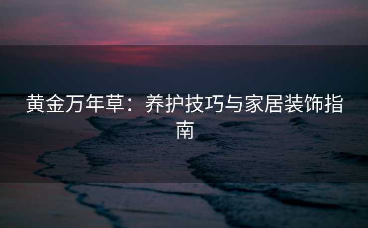 黄金万年草：养护技巧与家居装饰指南
