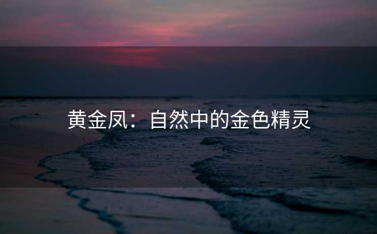 黄金凤：自然中的金色精灵