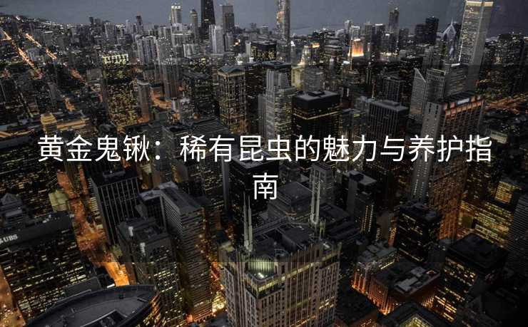 黄金鬼锹：稀有昆虫的魅力与养护指南