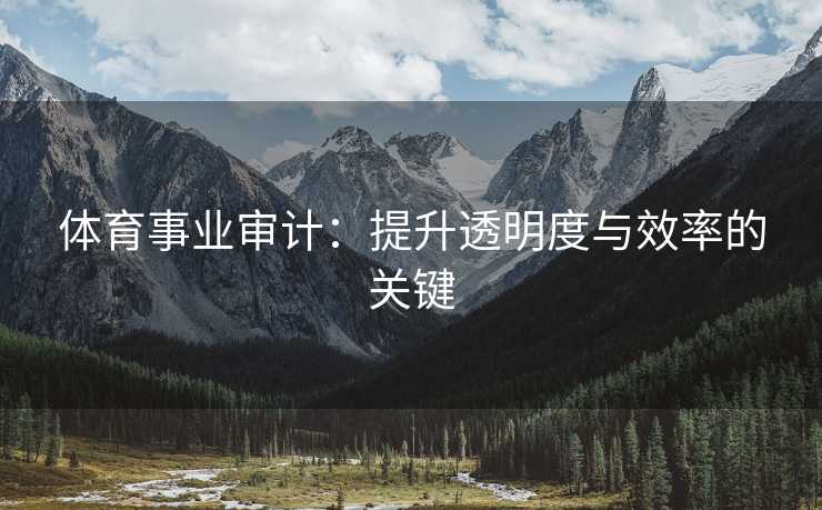 体育事业审计：提升透明度与效率的关键