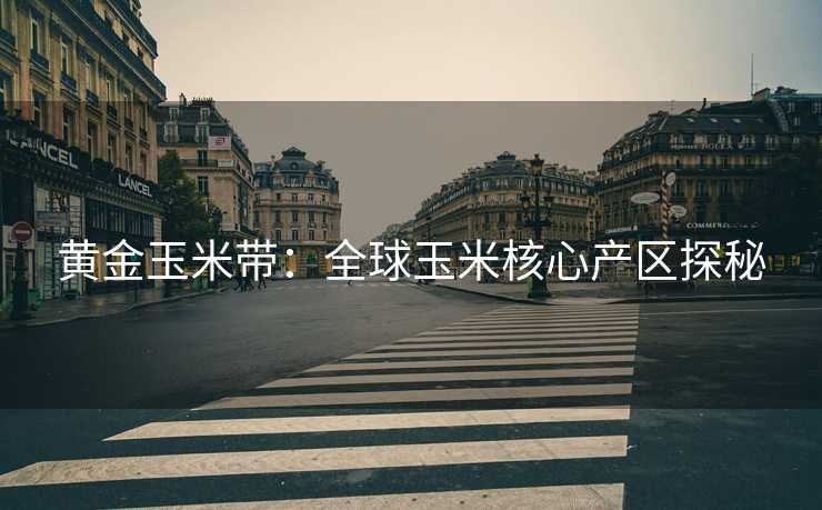 黄金玉米带：全球玉米核心产区探秘