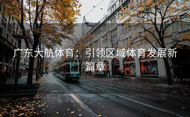 广东大航体育：引领区域体育发展新篇章