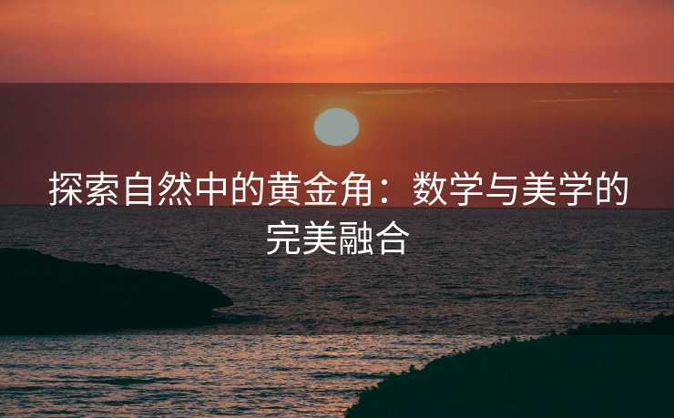 探索自然中的黄金角：数学与美学的完美融合