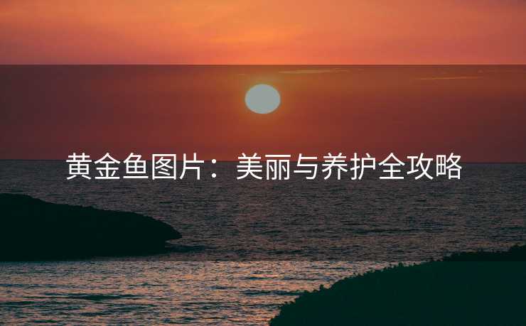 黄金鱼图片：美丽与养护全攻略