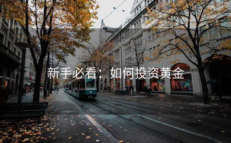 新手必看：如何投资黄金