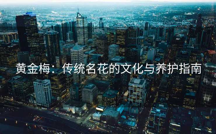黄金梅：传统名花的文化与养护指南