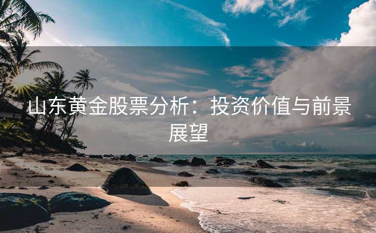 山东黄金股票分析：投资价值与前景展望