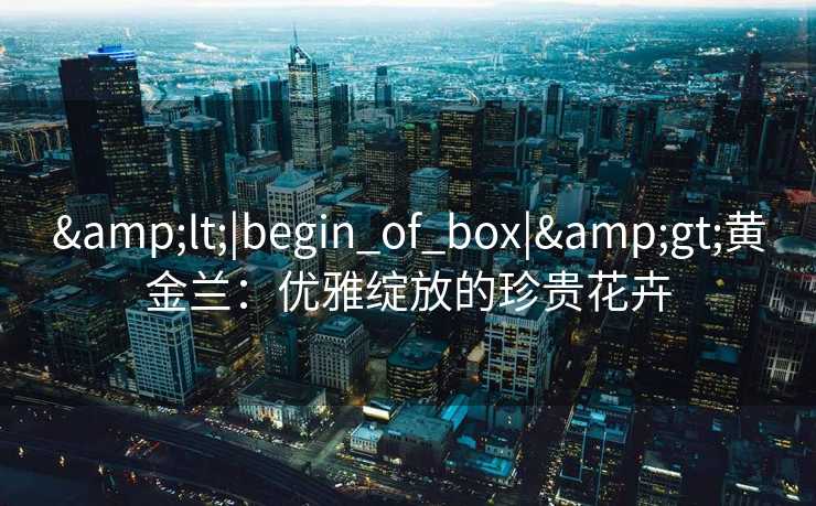 &lt;|begin_of_box|&gt;黄金兰：优雅绽放的珍贵花卉