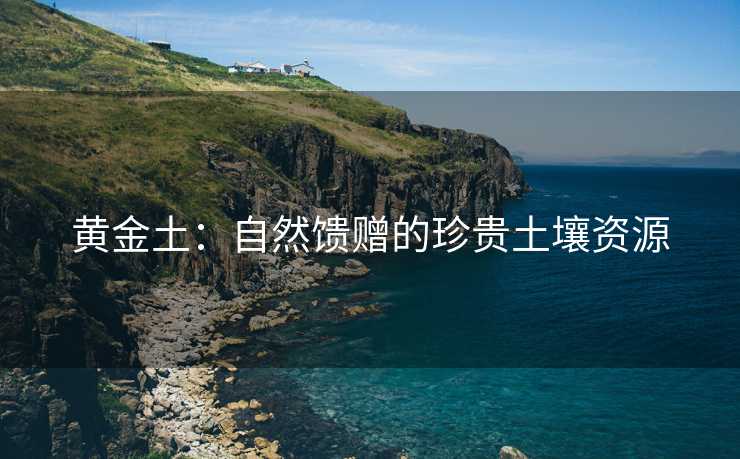 黄金土：自然馈赠的珍贵土壤资源