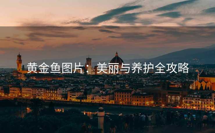 黄金鱼图片：美丽与养护全攻略