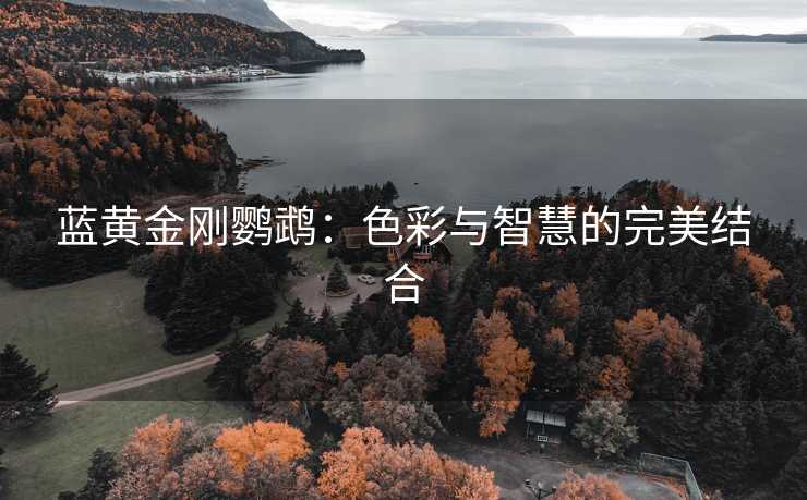 蓝黄金刚鹦鹉：色彩与智慧的完美结合