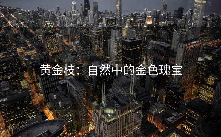 黄金枝：自然中的金色瑰宝