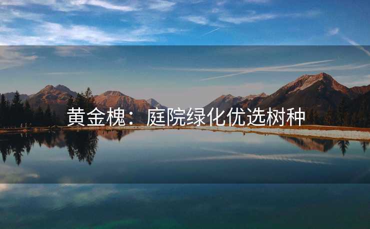 黄金槐：庭院绿化优选树种