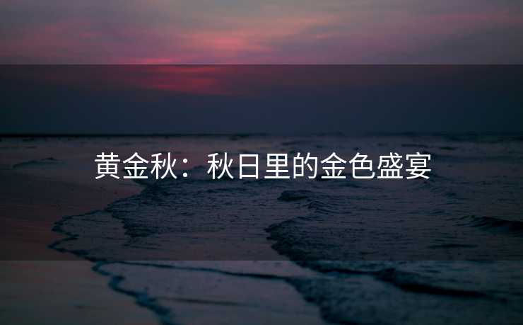 黄金秋：秋日里的金色盛宴