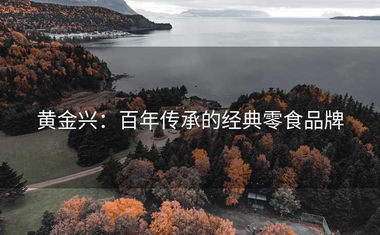 黄金兴：百年传承的经典零食品牌