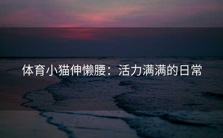 体育小猫伸懒腰：活力满满的日常