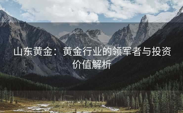山东黄金：黄金行业的领军者与投资价值解析