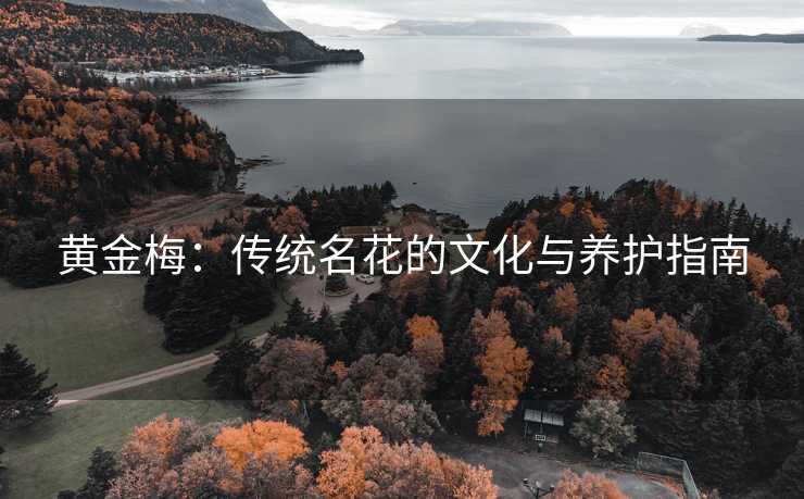 黄金梅：传统名花的文化与养护指南