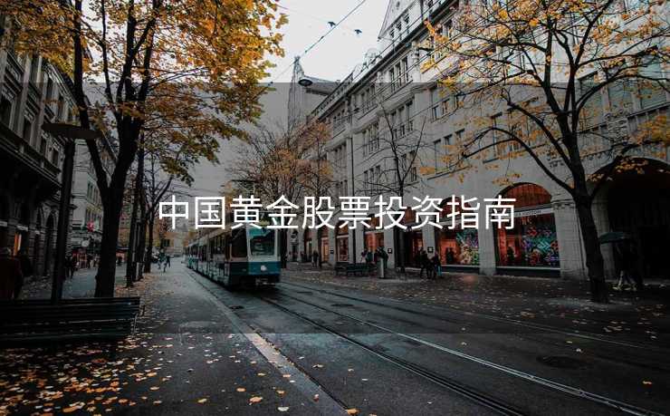 中国黄金股票投资指南