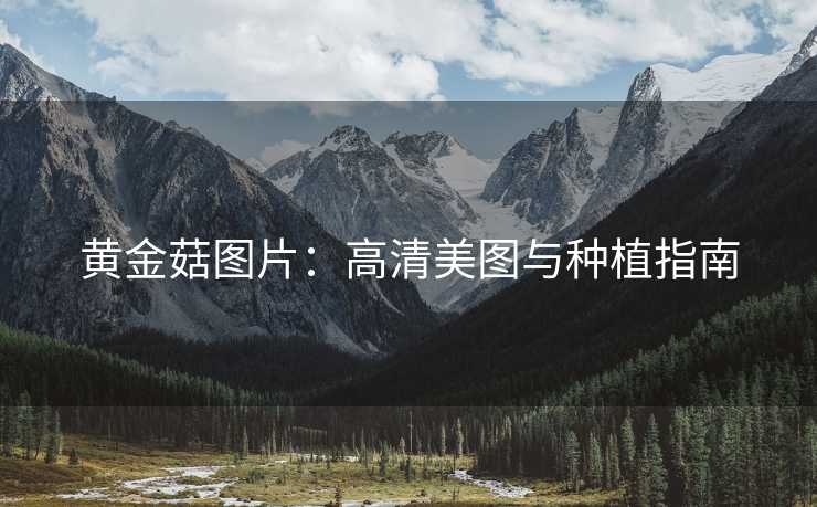 黄金菇图片：高清美图与种植指南