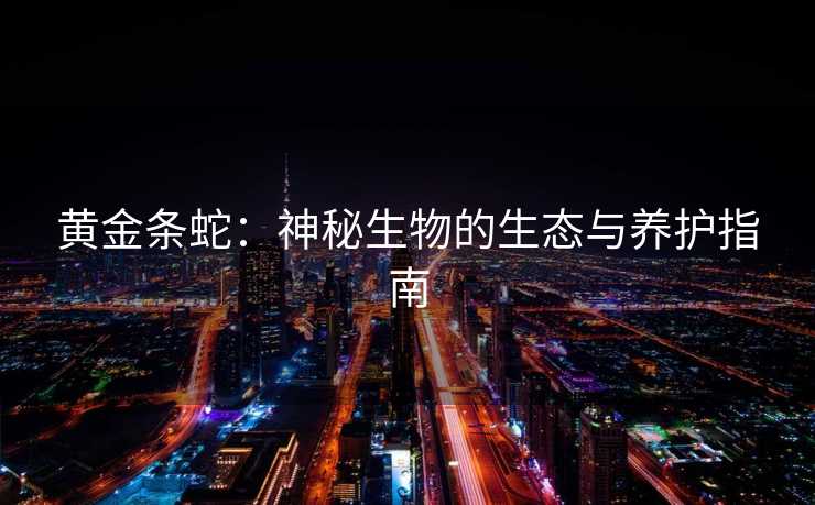黄金条蛇：神秘生物的生态与养护指南