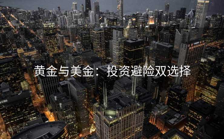 黄金与美金：投资避险双选择