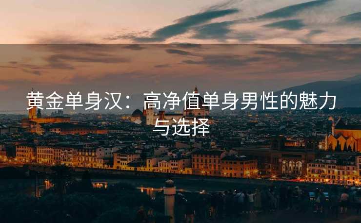 黄金单身汉：高净值单身男性的魅力与选择