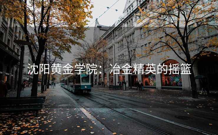 沈阳黄金学院：冶金精英的摇篮