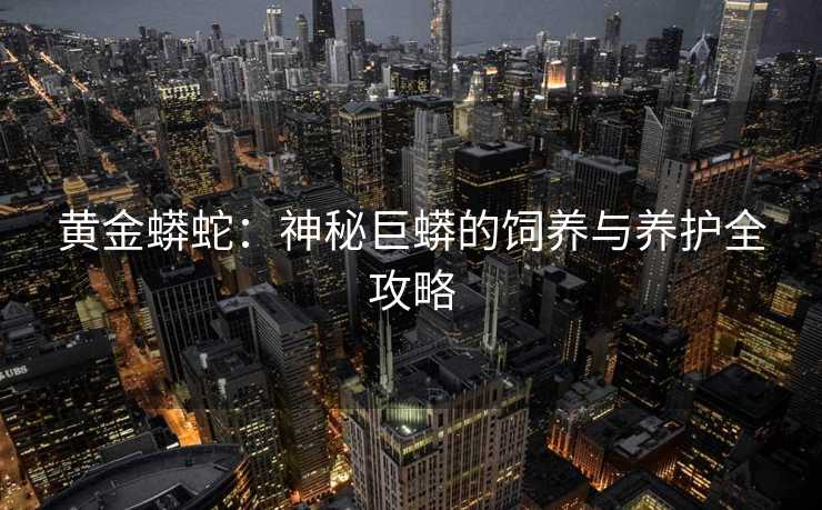 黄金蟒蛇：神秘巨蟒的饲养与养护全攻略
