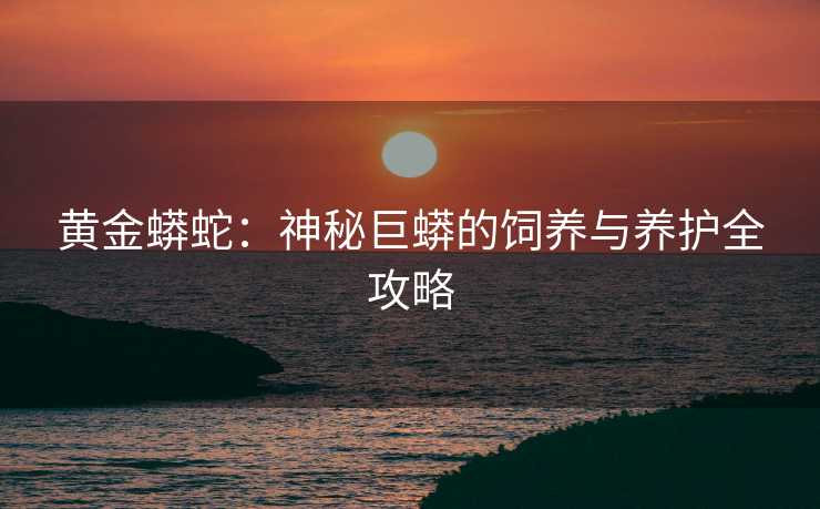 黄金蟒蛇：神秘巨蟒的饲养与养护全攻略