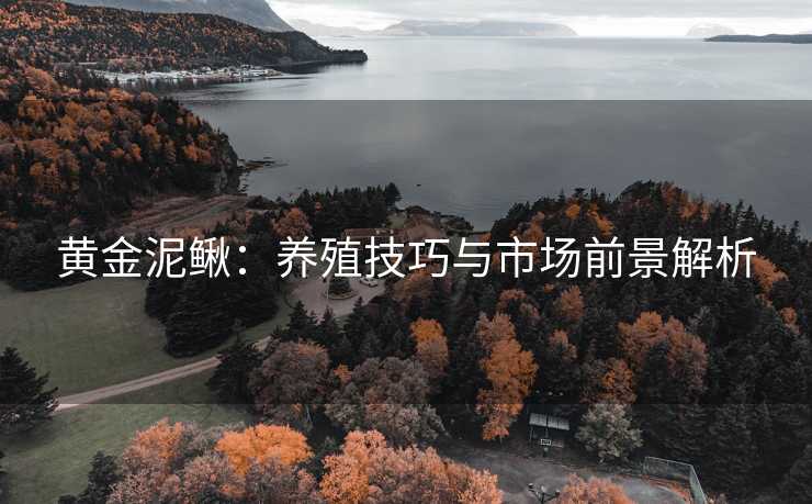 黄金泥鳅：养殖技巧与市场前景解析