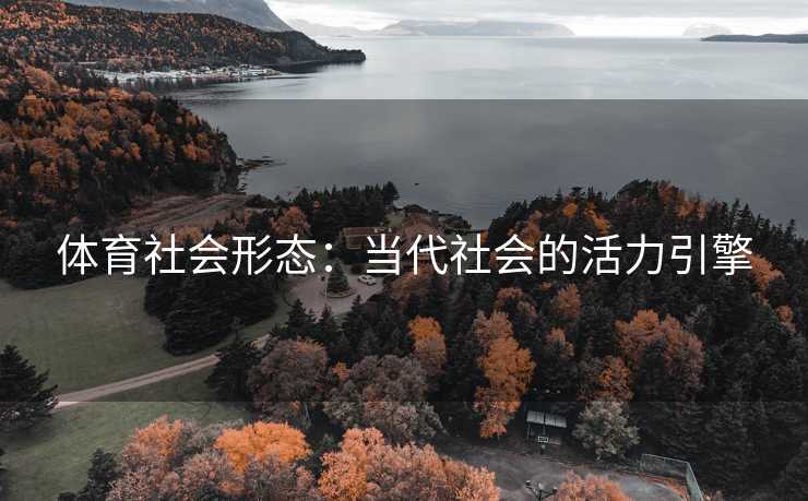 体育社会形态：当代社会的活力引擎