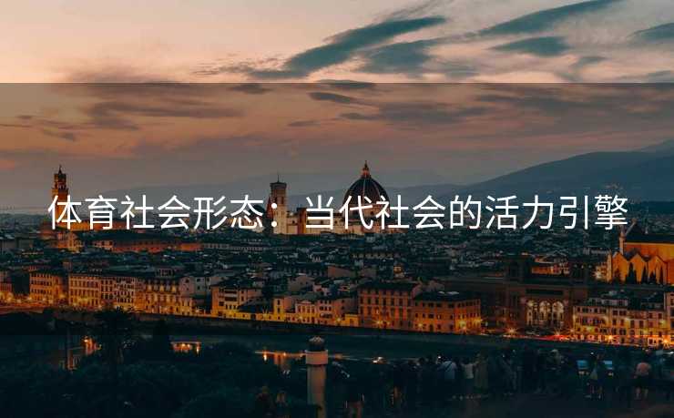 体育社会形态：当代社会的活力引擎