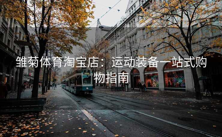 雏菊体育淘宝店：运动装备一站式购物指南