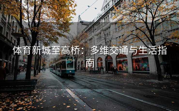 体育新城至高桥：多维交通与生活指南