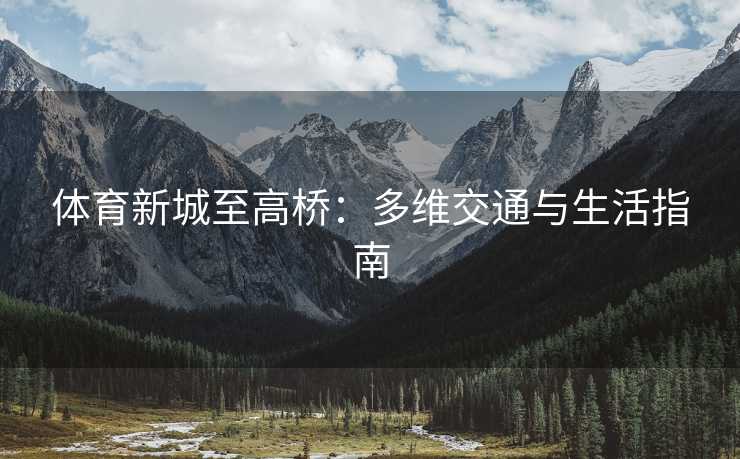 体育新城至高桥：多维交通与生活指南