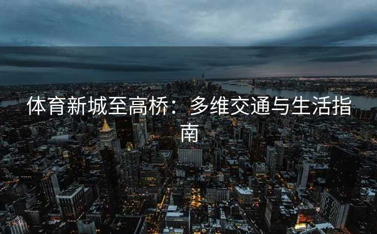 体育新城至高桥：多维交通与生活指南