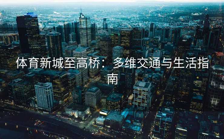 体育新城至高桥：多维交通与生活指南