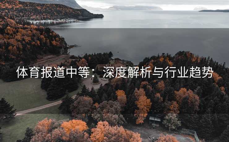 体育报道中等：深度解析与行业趋势