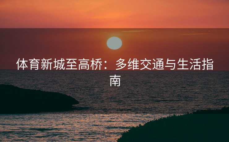 体育新城至高桥：多维交通与生活指南