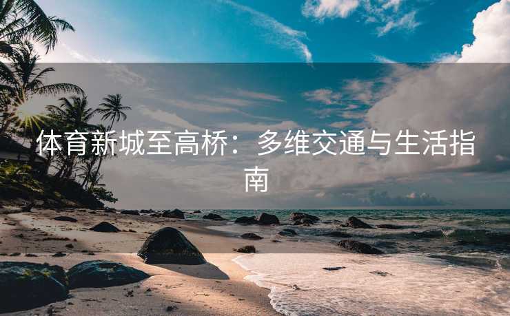 体育新城至高桥：多维交通与生活指南