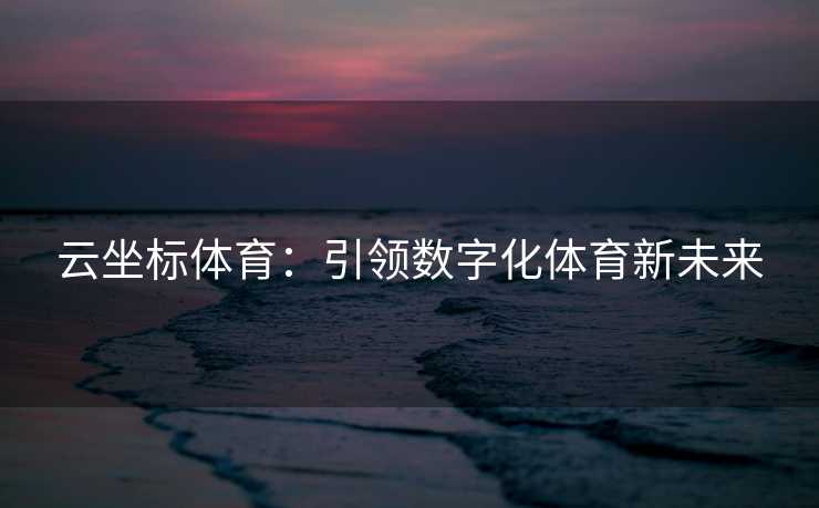 云坐标体育：引领数字化体育新未来