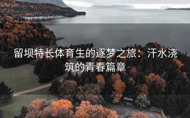 留坝特长体育生的逐梦之旅：汗水浇筑的青春篇章